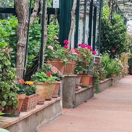 Villa Dei Fiori B&B-2